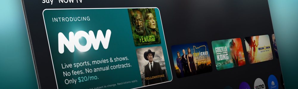 IPTV Services in 2024-The Future Unveiled